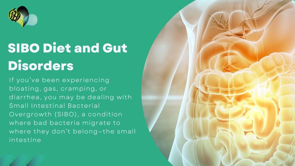 Human digestive system drawing used to explain the Truth About Gut Health, showing the GI tract, gut microbiome, and digestive organs.