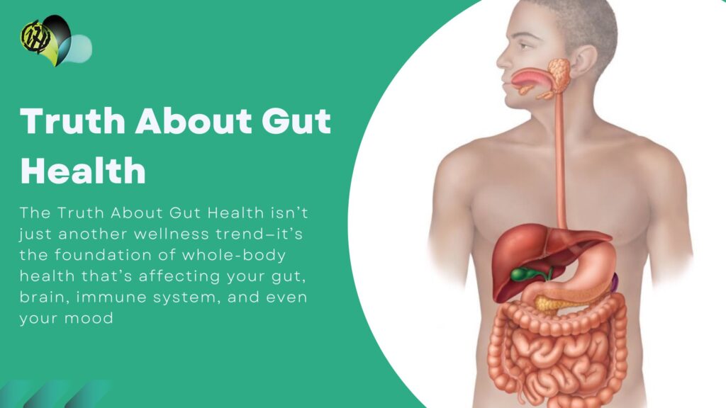Human digestive system drawing used to explain the Truth About Gut Health, showing the GI tract, gut microbiome, and digestive organs.