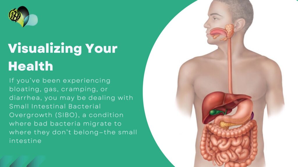 Human digestive system drawing used to explain the Truth About Gut Health, showing the GI tract, gut microbiome, and digestive organs.