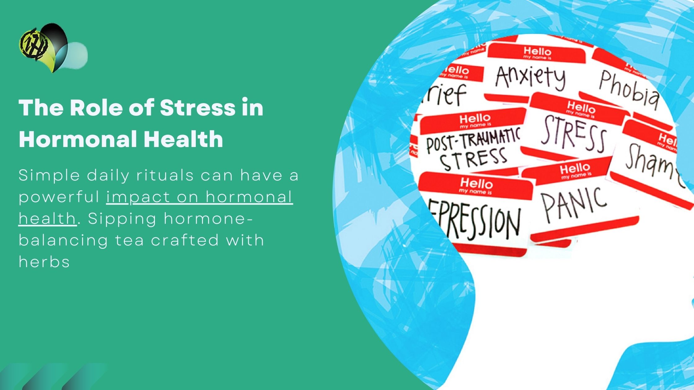 Holistic treatment approach for hormonal imbalance in women using natural remedies, herbs, nutrition, and lifestyle changes.