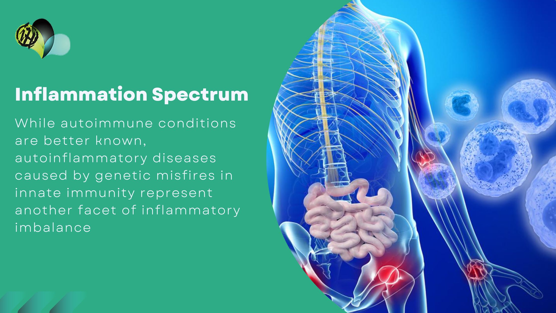 Illustration showing inflammation as the root cause of disease with healthy vs. inflamed cells.