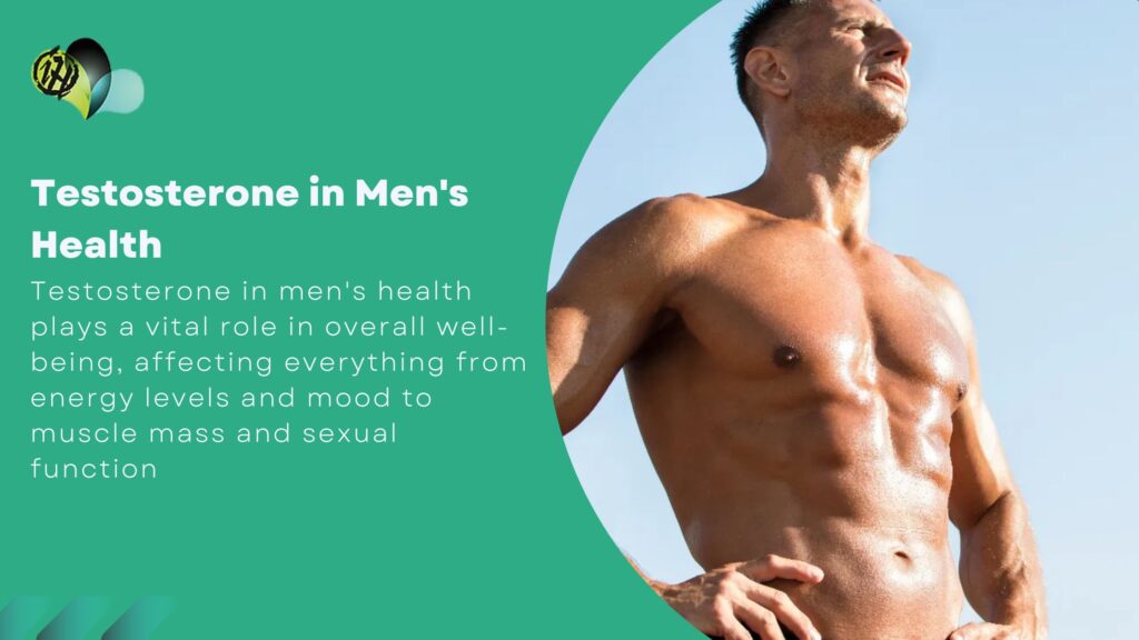 Doctor checking a man’s hormone levels to support testosterone in men's health and overall wellness