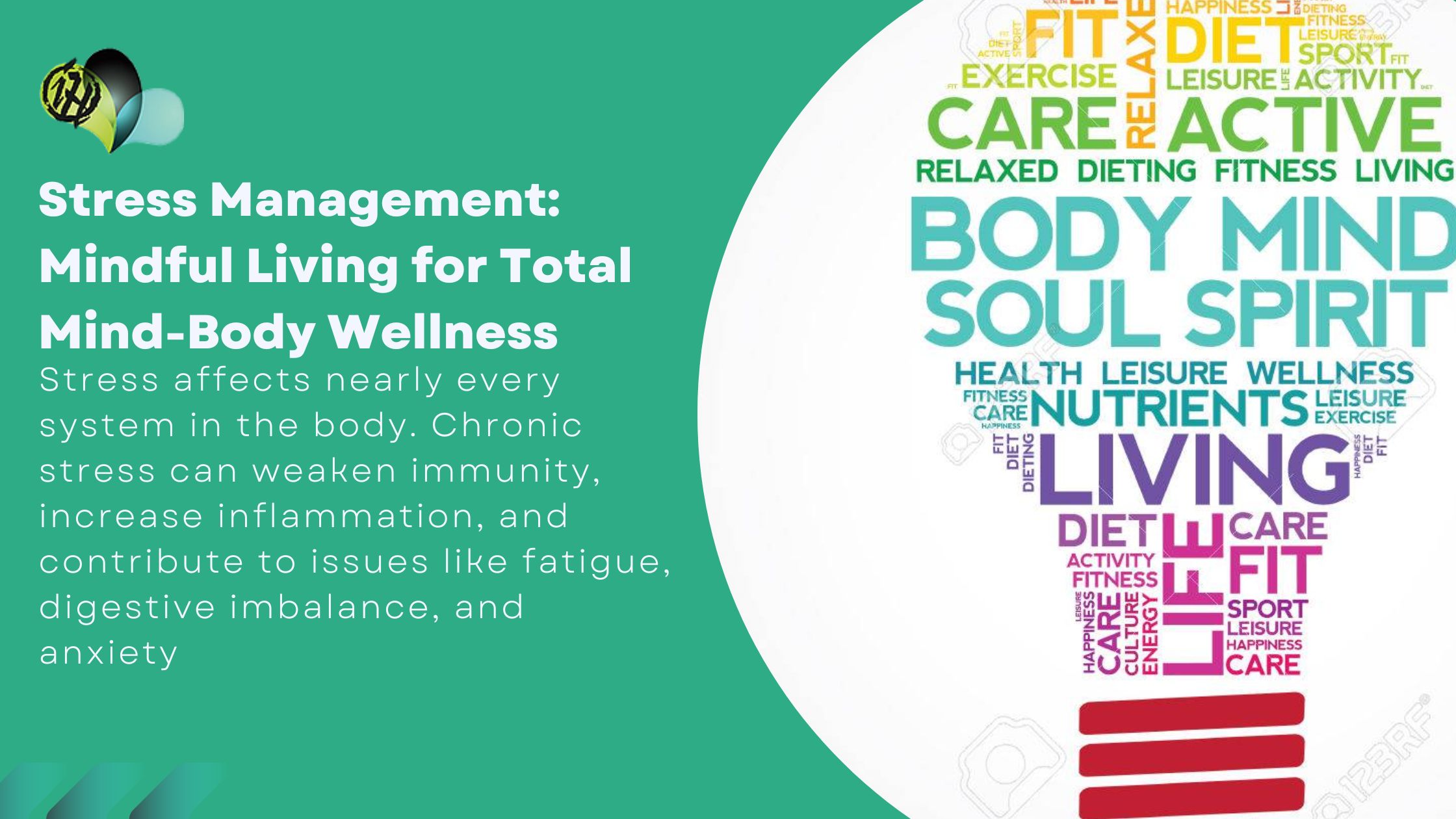 Balanced meal plate with proteins, vegetables, and whole grains showing how to balance nutrition for mind and body health.